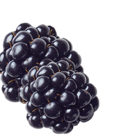 vodka_Blackberry_bottomRight