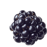 Black Raspberry